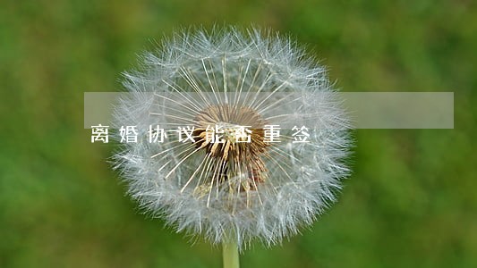 离婚协议能否重签 离婚协议能否重签