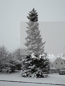 离婚协议能提前多久写 离婚协议能提前多久写