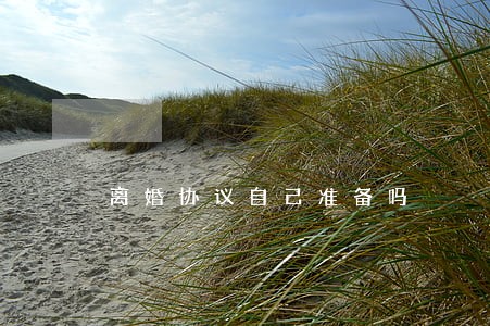 离婚协议自己准备吗 离婚协议自己准备吗