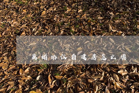 离婚协议自建房怎么填 离婚协议自建房怎么填