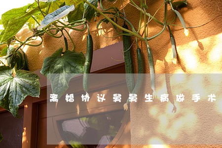离婚协议舅舅生病做手术 离婚协议舅舅生病做手术