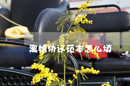 离婚协议范本怎么填 离婚协议范本怎么填