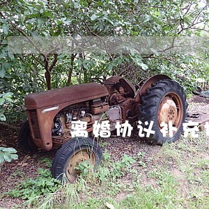 离婚协议补充协议有效 离婚协议补充协议有效