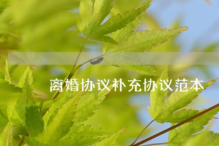 离婚协议补充协议范本 离婚协议补充协议范本