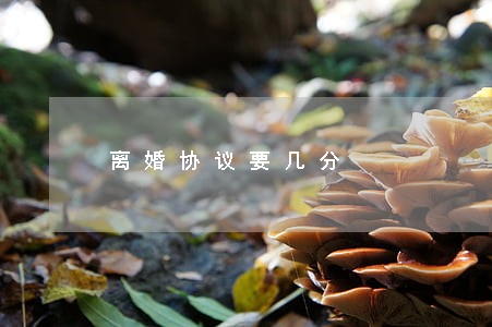 离婚协议要几分 离婚协议要几分