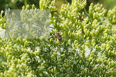离婚协议要去本地签吗 离婚协议要去本地签吗