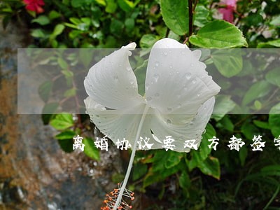 离婚协议要双方都签字吗 离婚协议要双方都签字吗