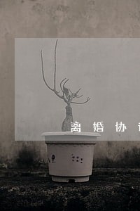 离婚协议赠与房屋未过户