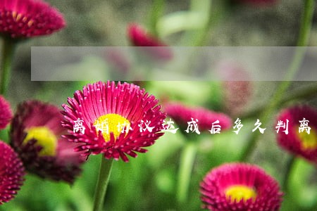 离婚协议达成后多久判离 离婚协议达成后多久判离