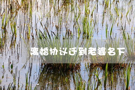 离婚协议迁到老婆名下 离婚协议迁到老婆名下