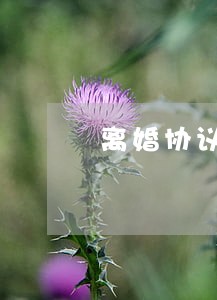 离婚协议适用于合同法嘛 离婚协议适用于合同法嘛