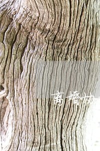 离婚协议逾期一月给钱后反悔 离婚协议逾期一月给钱后反悔
