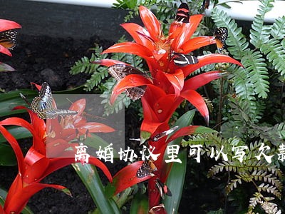 离婚协议里可以写欠款 离婚协议里可以写欠款