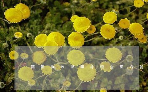 离婚协议里面补偿金男方就没钱 离婚协议里面补偿金男方就没钱