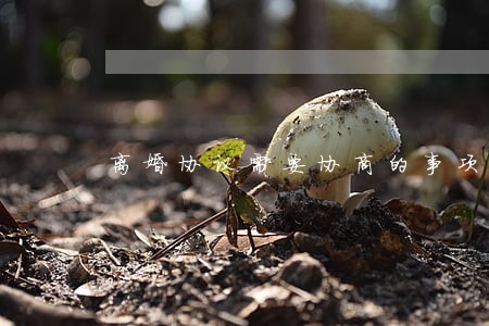 离婚协议需要协商的事项 离婚协议需要协商的事项