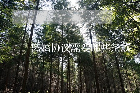 离婚协议需要哪些条款 离婚协议需要哪些条款