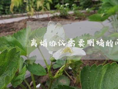 离婚协议需要明确的问题 离婚协议需要明确的问题