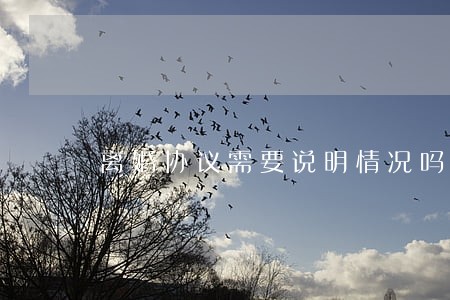 离婚协议需要说明情况吗 离婚协议需要说明情况吗
