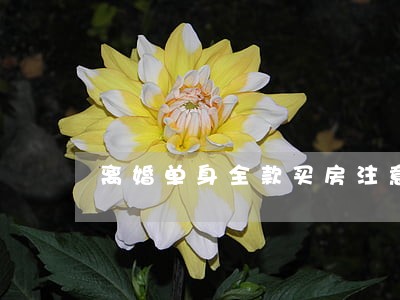 离婚单身全款买房注意事项 离婚单身全款买房注意事项