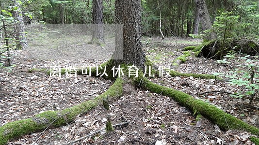 离婚可以休育儿假 离婚可以休育儿假