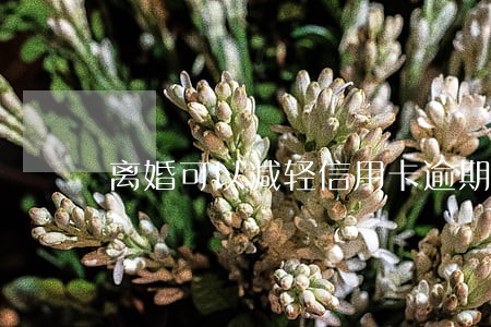 离婚可以减轻信用卡逾期利息吗 离婚可以减轻信用卡逾期利息吗