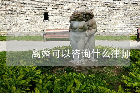 离婚可以咨询什么律师 离婚可以咨询什么律师