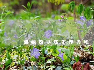 离婚可以在本市办吗 离婚可以在本市办吗