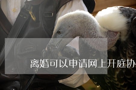 离婚可以申请网上开庭协议书 离婚可以申请网上开庭协议书