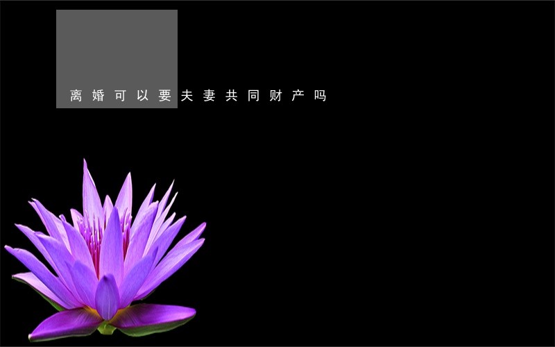 离婚可以要夫妻共同财产吗 离婚可以要夫妻共同财产吗