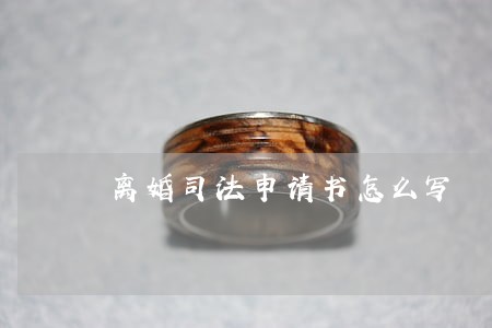 离婚司法申请书怎么写 离婚司法申请书怎么写