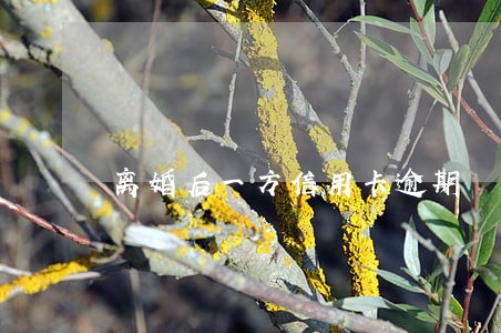 离婚后一方信用卡逾期 离婚后一方信用卡逾期