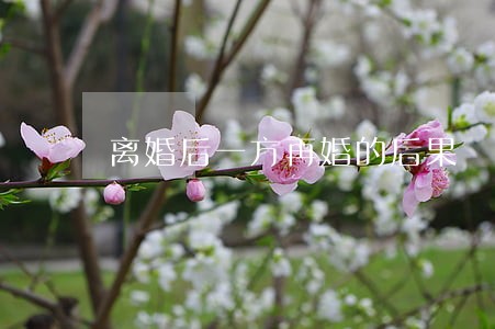 离婚后一方再婚的后果 离婚后一方再婚的后果