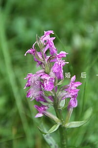 离婚后一方出轨后会怎样 离婚后一方出轨后会怎样