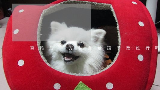 离婚后一方私自给孩子改姓行吗