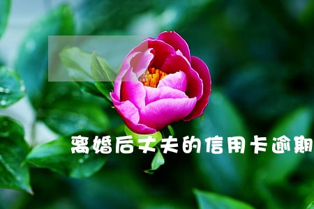 离婚后丈夫的信用卡逾期 离婚后丈夫的信用卡逾期