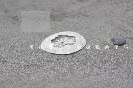 离婚后丈夫能探视前妻吗 离婚后丈夫能探视前妻吗