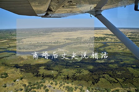 离婚后丈夫说错话 离婚后丈夫说错话
