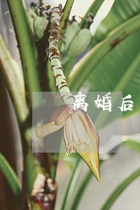 离婚后不去上班可以吗 离婚后不去上班可以吗