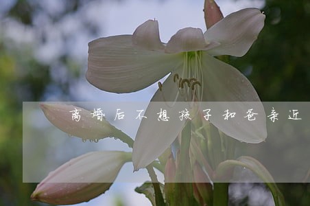 离婚后不想孩子和爸亲近 离婚后不想孩子和爸亲近