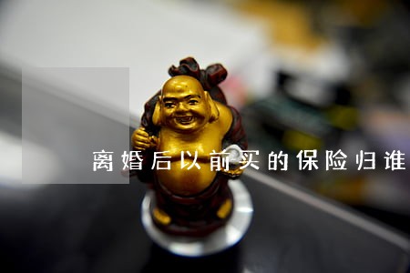 离婚后以前买的保险归谁所有 离婚后以前买的保险归谁所有