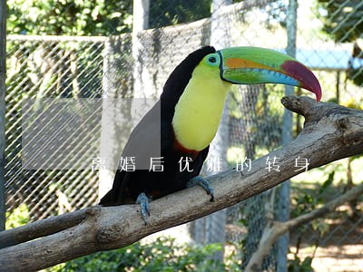 离婚后优雅的转身 离婚后优雅的转身