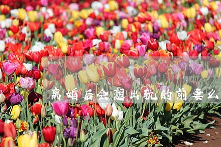 离婚后会想出轨的前妻么 离婚后会想出轨的前妻么