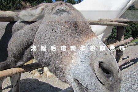 离婚后信用卡逾期责任 离婚后信用卡逾期责任
