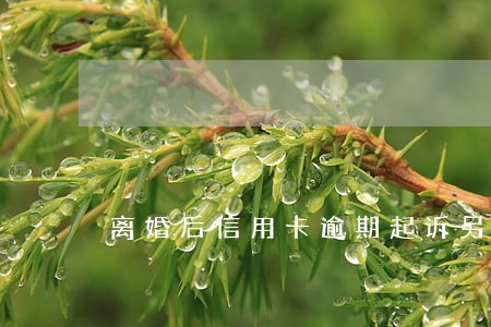 离婚后信用卡逾期起诉另一方 离婚后信用卡逾期起诉另一方
