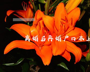 离婚后再婚户口本上怎么登记 离婚后再婚户口本上怎么登记