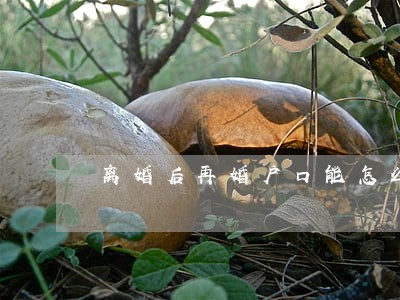 离婚后再婚户口能怎么办 离婚后再婚户口能怎么办