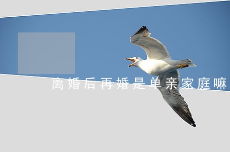 离婚后再婚是单亲家庭嘛 离婚后再婚是单亲家庭嘛