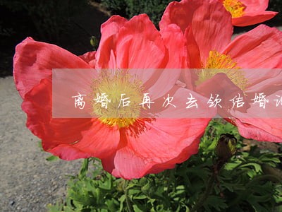 离婚后再次去领结婚证 离婚后再次去领结婚证