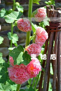 离婚后分了两间房 离婚后分了两间房
