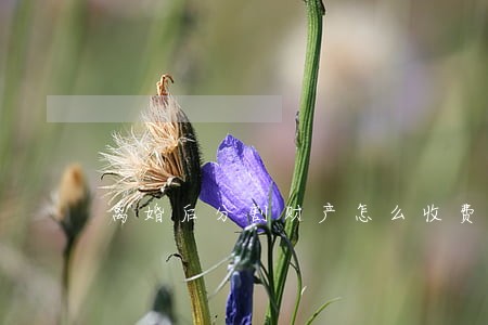 离婚后分割财产怎么收费 离婚后分割财产怎么收费